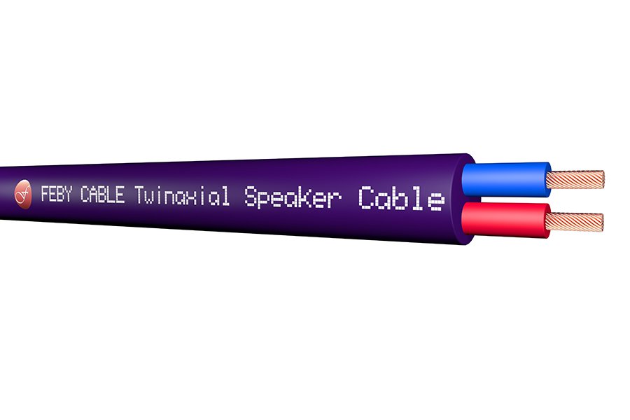 TWINAXIAL CABLE